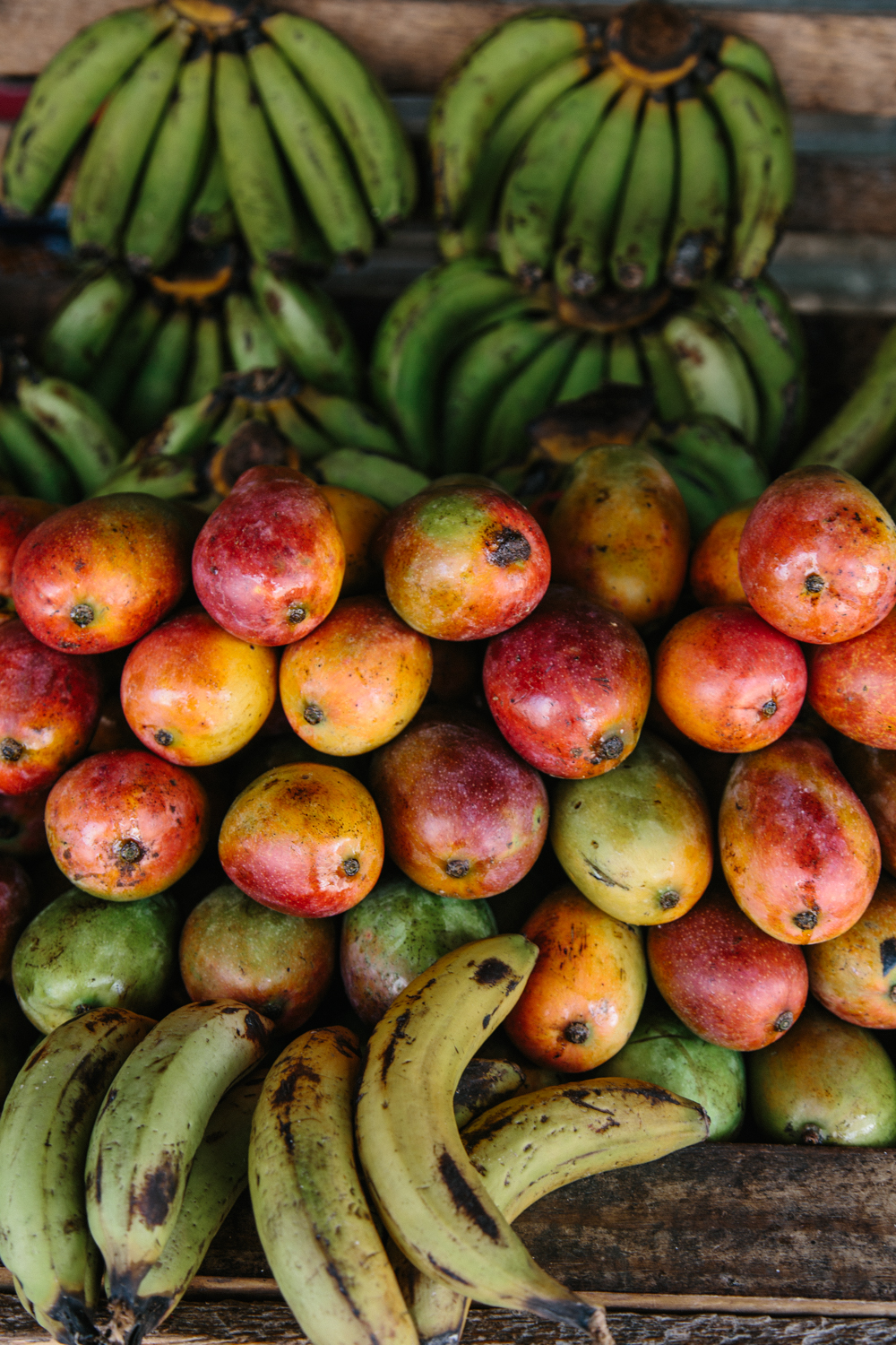Spiritedpursuit_leelitumbe_mozambique-215.jpg