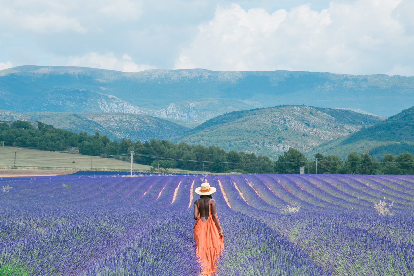 marche_spiritedpursuit-1-16.jpg
