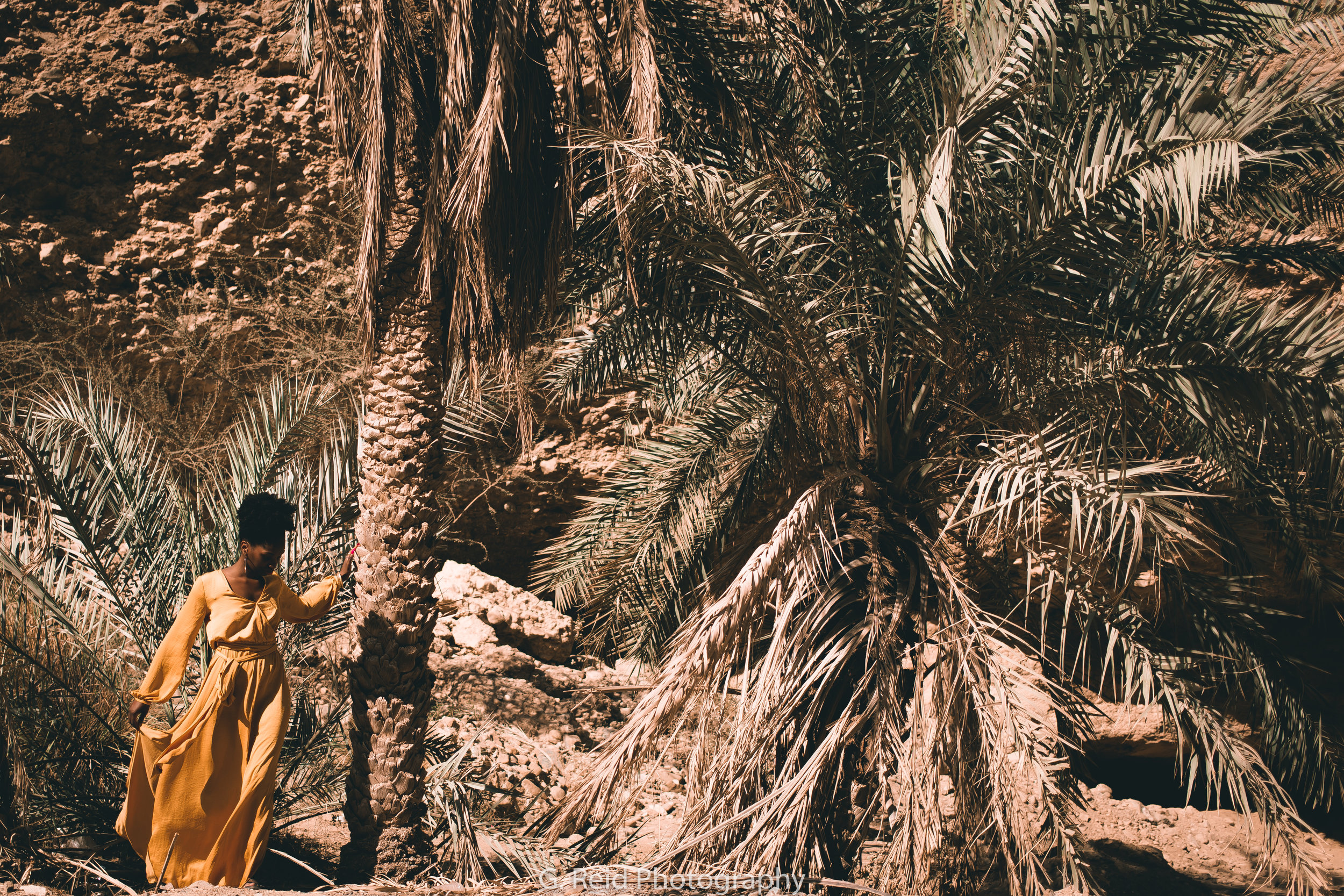 Fujairah-181.jpg