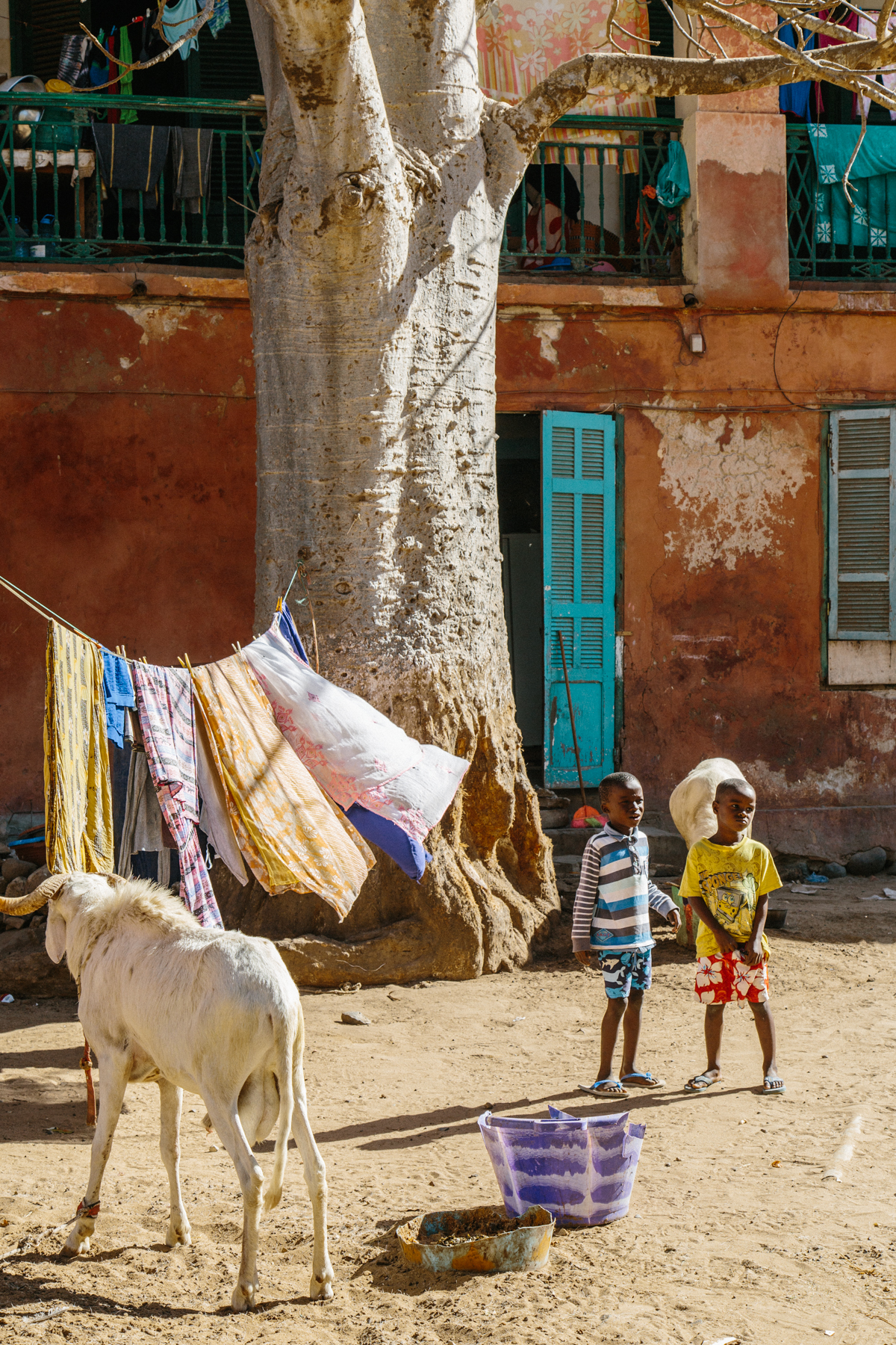 Spiritedpursuit_leelitumbe_goreeisland_senegal-43.jpg
