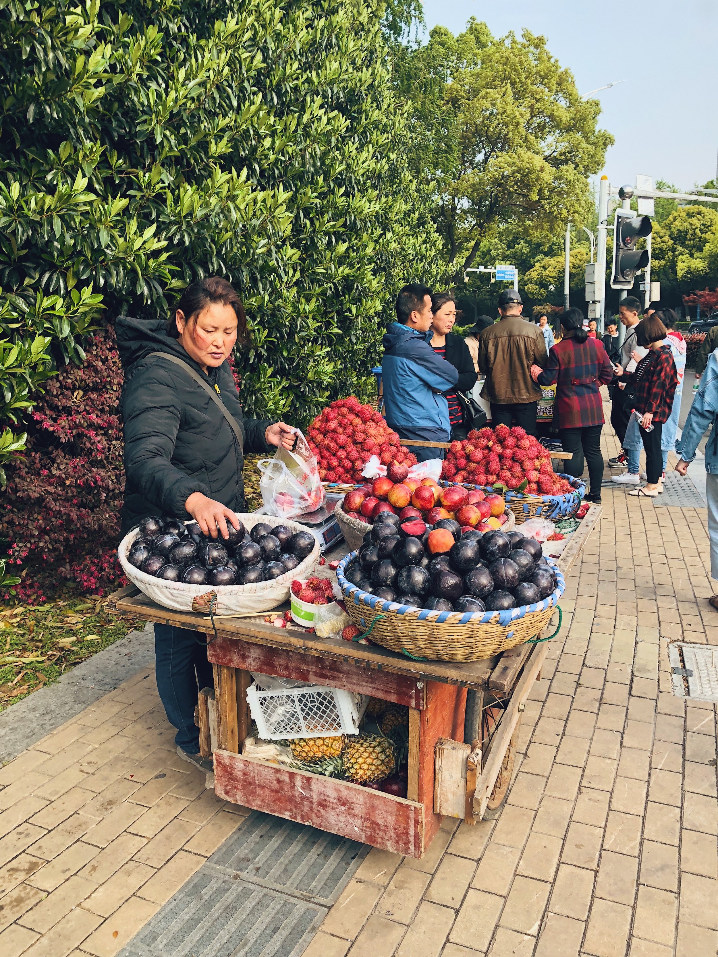fruit.jpg