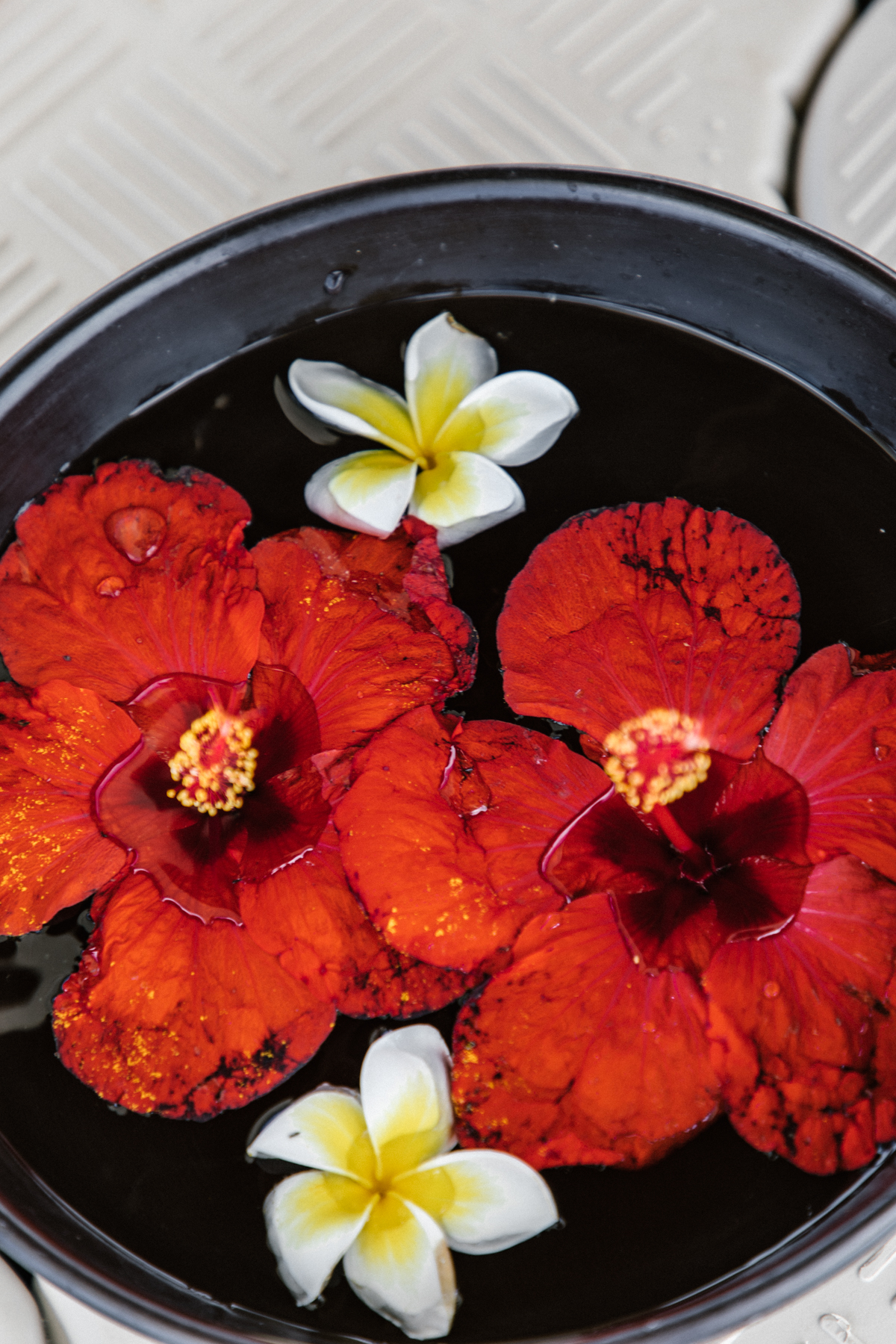 Spiritedpursuit_leelitumbe_MAURITIUS_FOURSEASONS-166.jpg