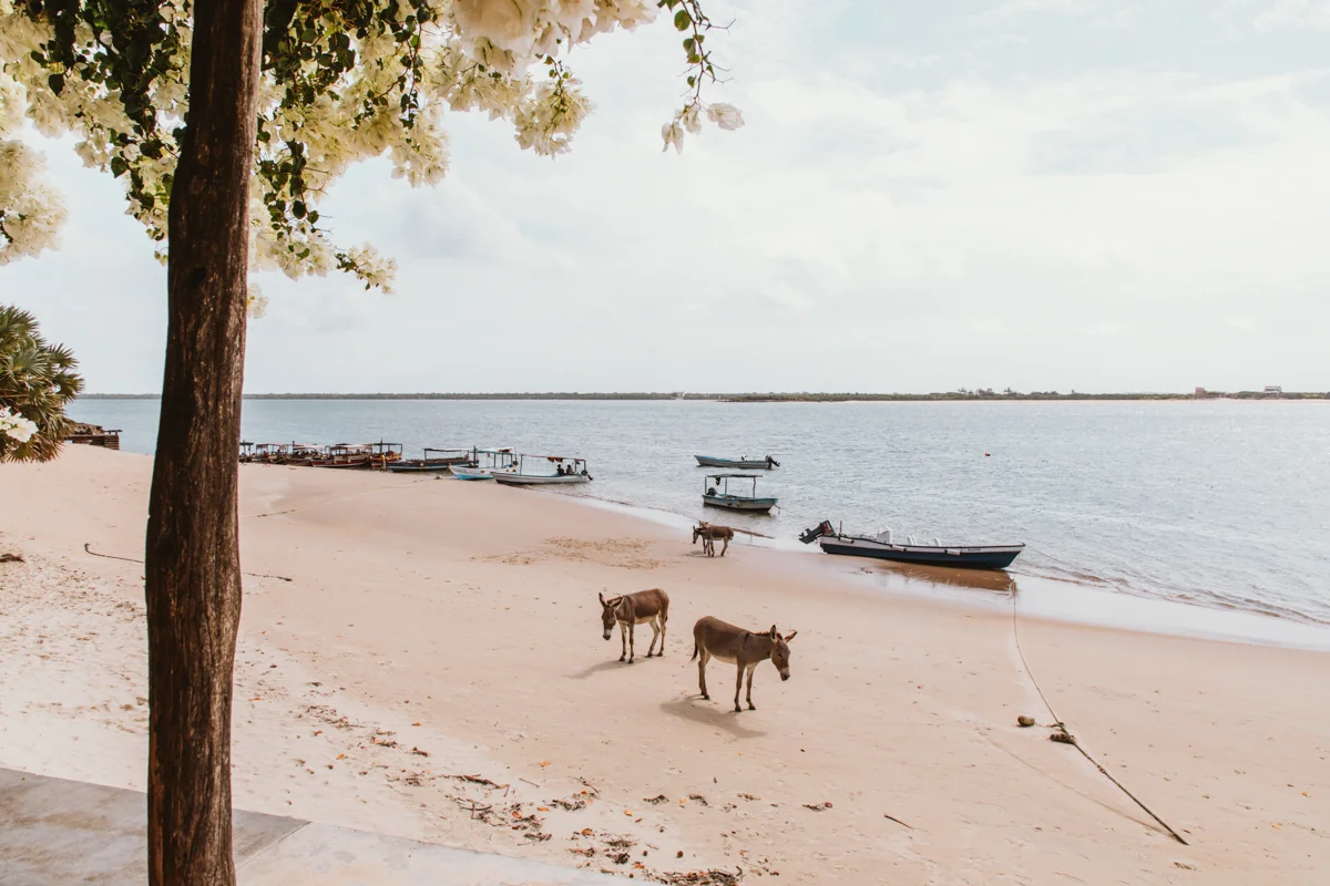 spiritedpursuit_leelitumbe-161_lamu_kenya.jpg.