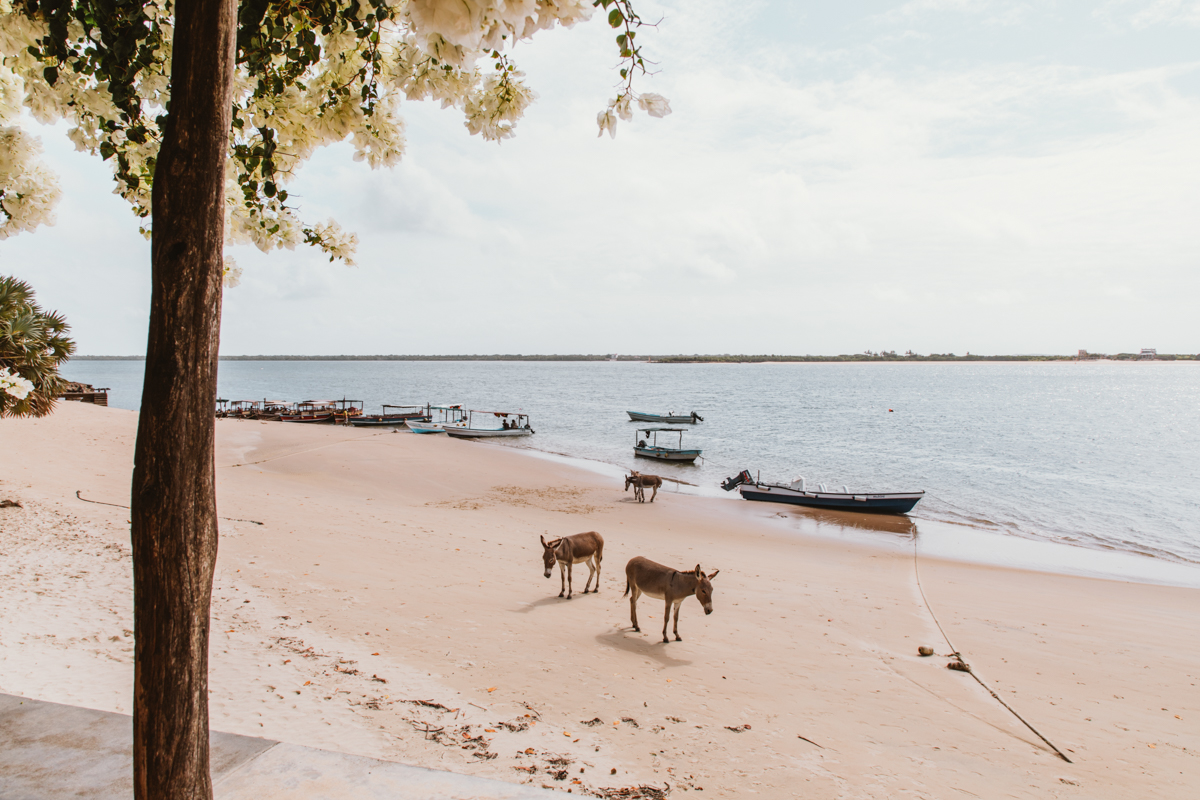Spiritedpursuit_leelitumbe-161_lamu_kenya.jpg