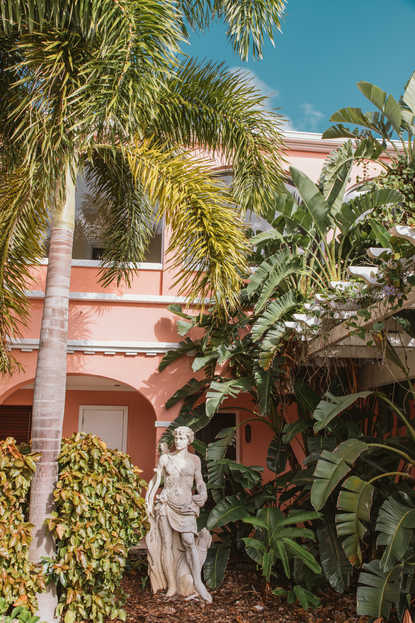 Spiritedpursuit_STCROIX-8.jpg