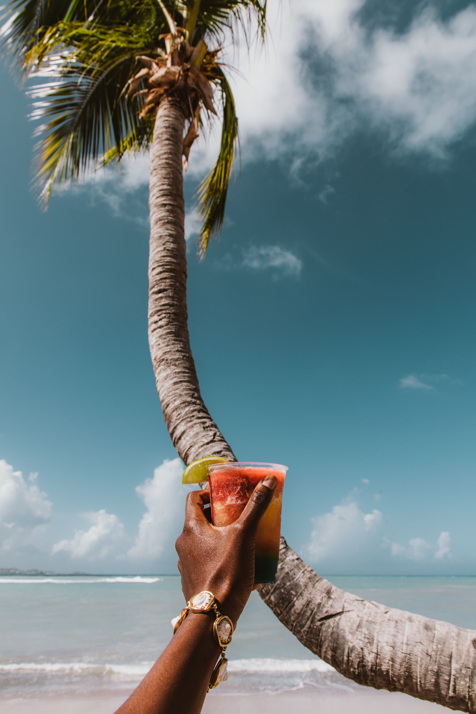 Spiritedpursuit_STCROIX-75.jpg