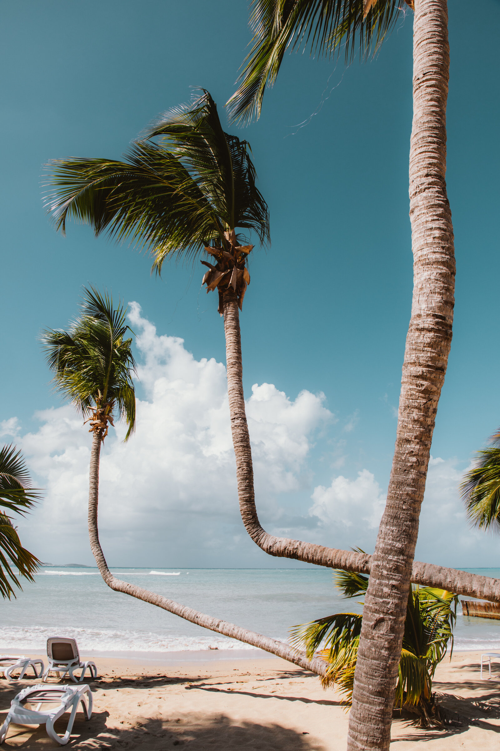 Spiritedpursuit_STCROIX-67.jpg