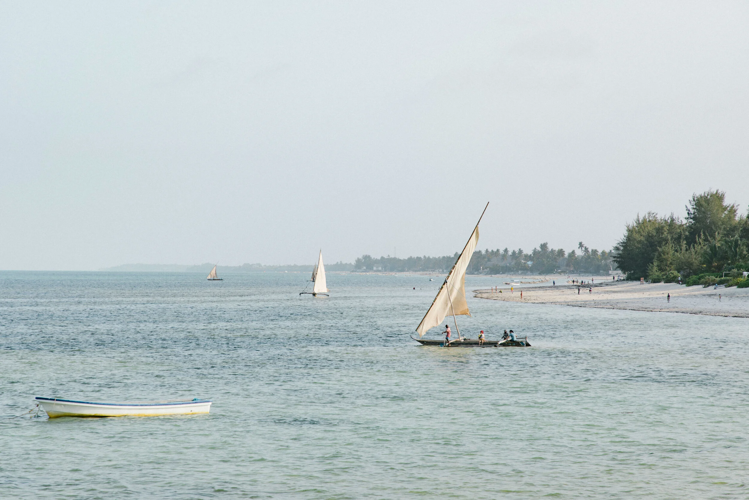 av0a7943.jpg.