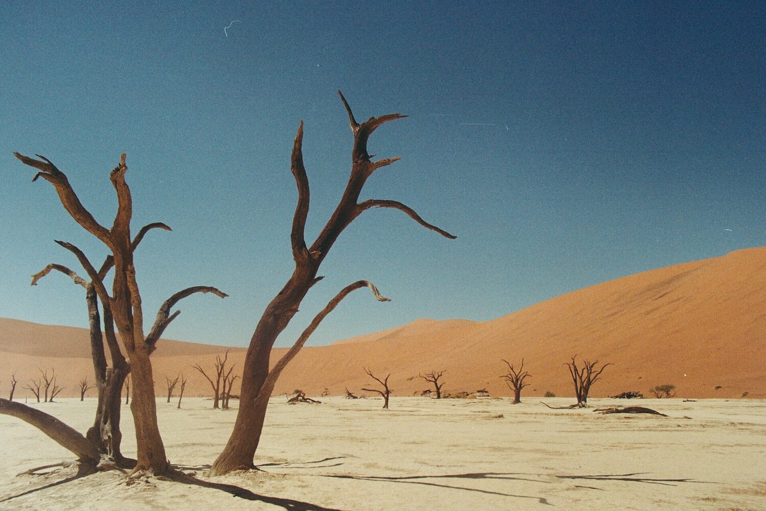 Deadvlei .jpg