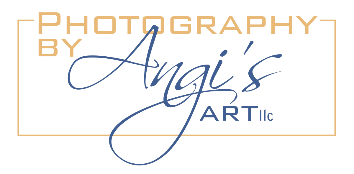 Angi's Art llc - Kansas City Photographer