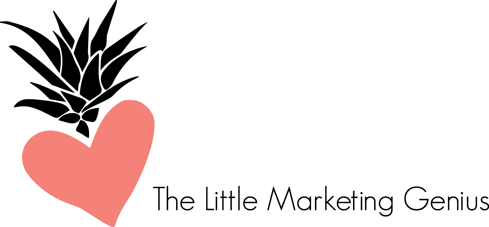 The Little Marketing Genius