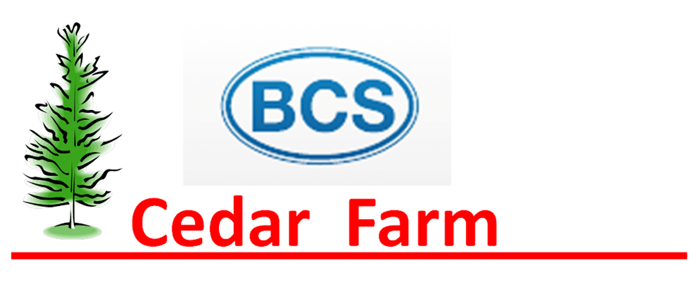 Cedar Farm: BCS Tractors w/Tiller