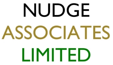nudge associates limited