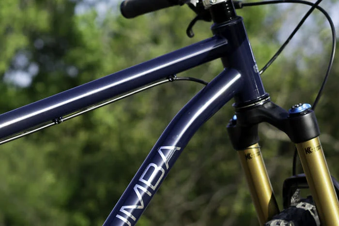 blue bike frame
