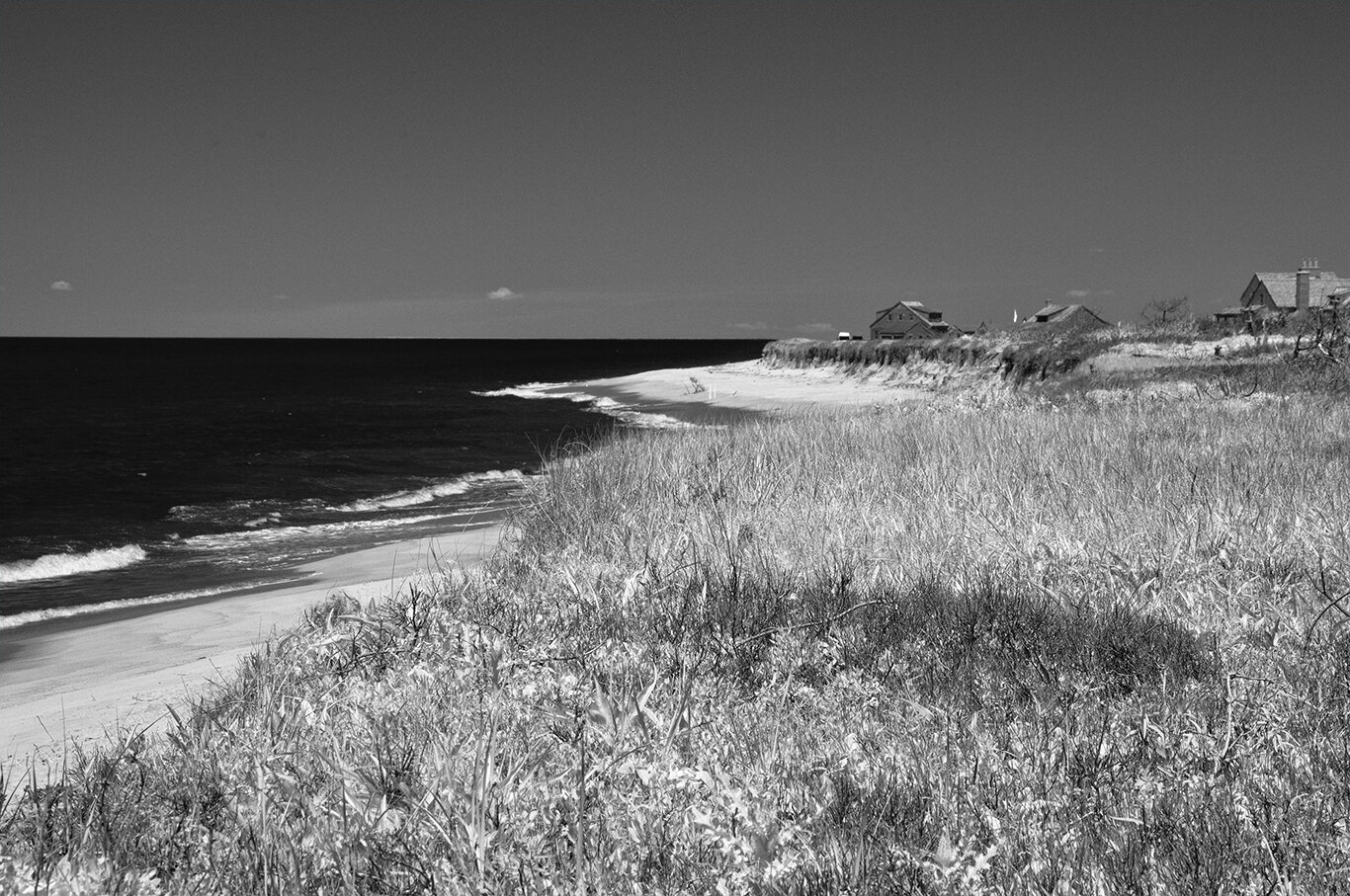 DSC6529bw.jpg
