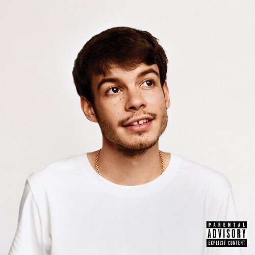 Rex Orange County Pony Ltd Coloured Vinyl Lp Lost In Vinyl