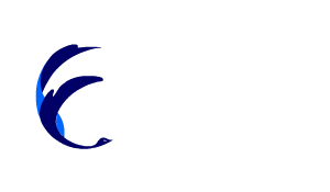 Mind Form Personal Development