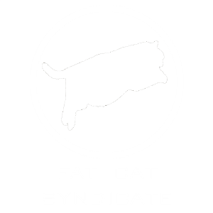 FAT_CAT_SYNDICATE | Official Band Page