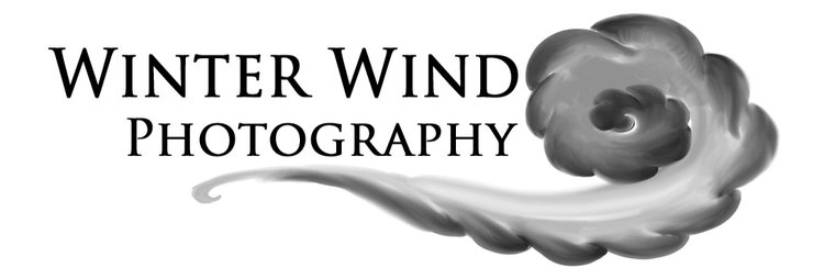 Winter Wind Photography