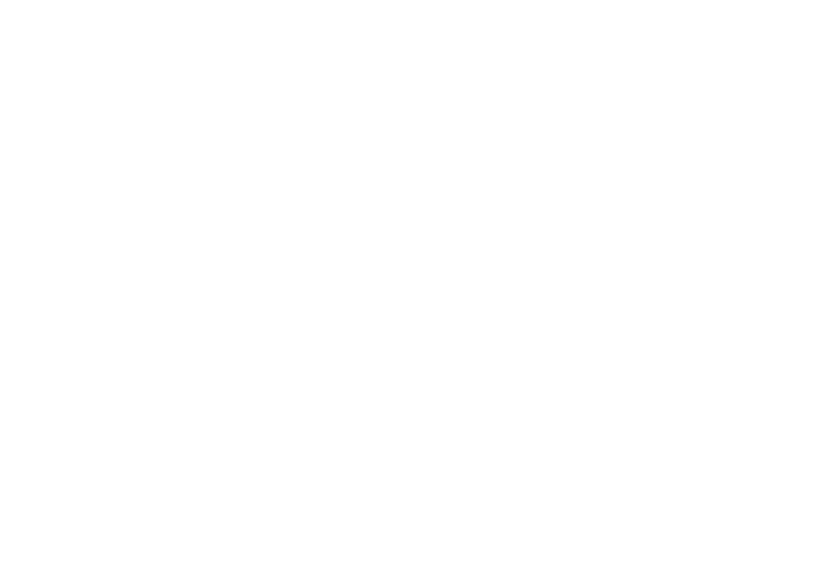 The Ricketts Company