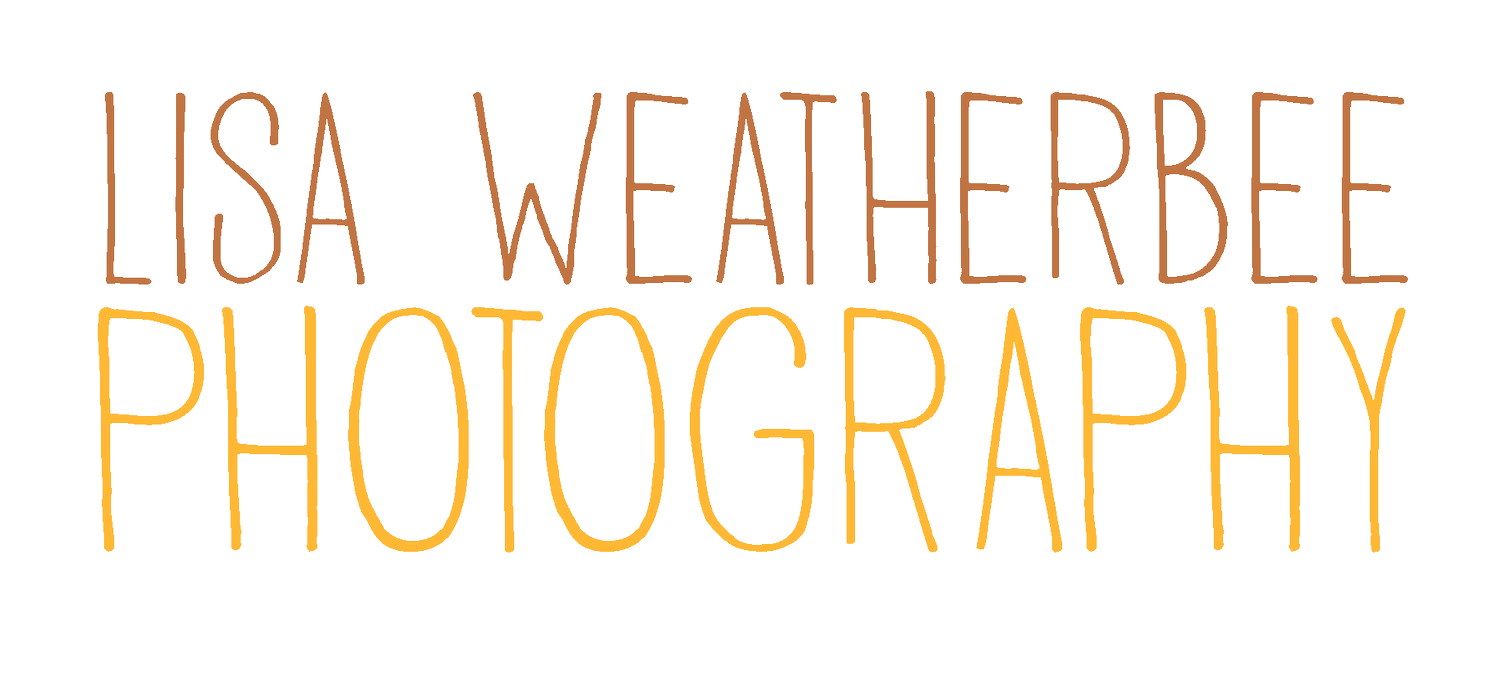 Lisa Weatherbee Photography