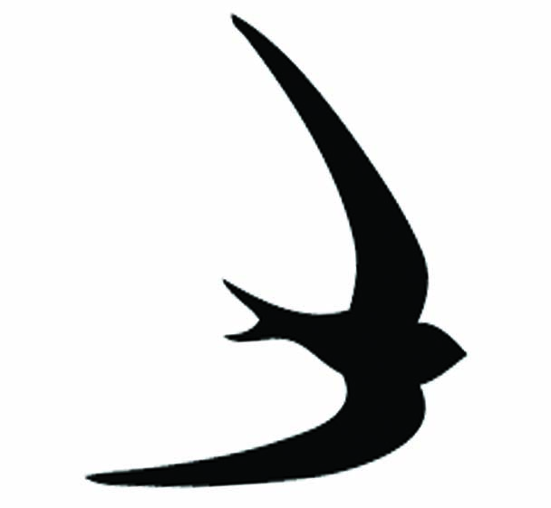 BLACK SWIFT PRESS