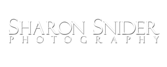 Sharon Snider Photography -  Comox Valley Photographer