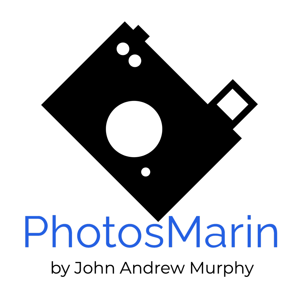 Family Portrait Headshot Studio Marin County Contact3.3.24