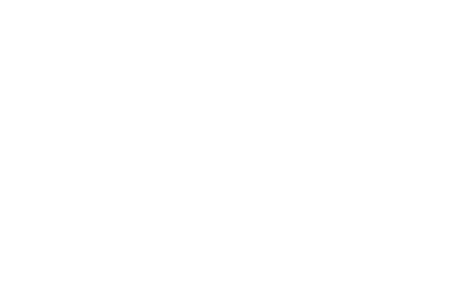 Tammie N. Lindsey, Attorney