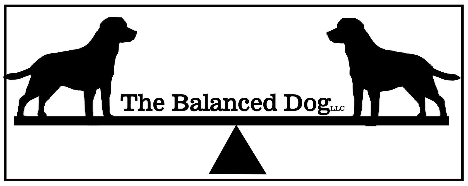 The Balanced Dog, LLC