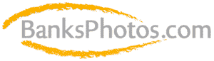 BanksPhotos.com