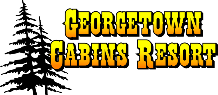Cabins in the Gila National Forest | Georgetown Cabins Resort | New Mexico