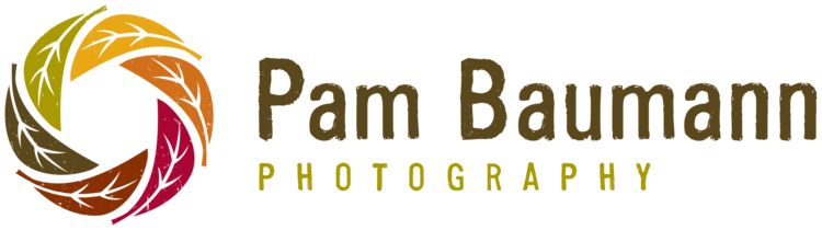 Pam Baumann Photography