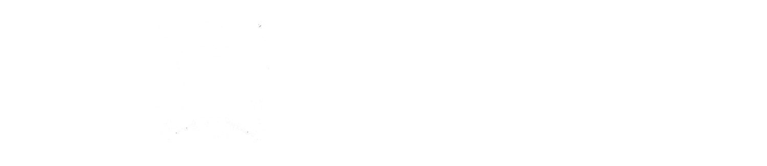 New Zealand Republic