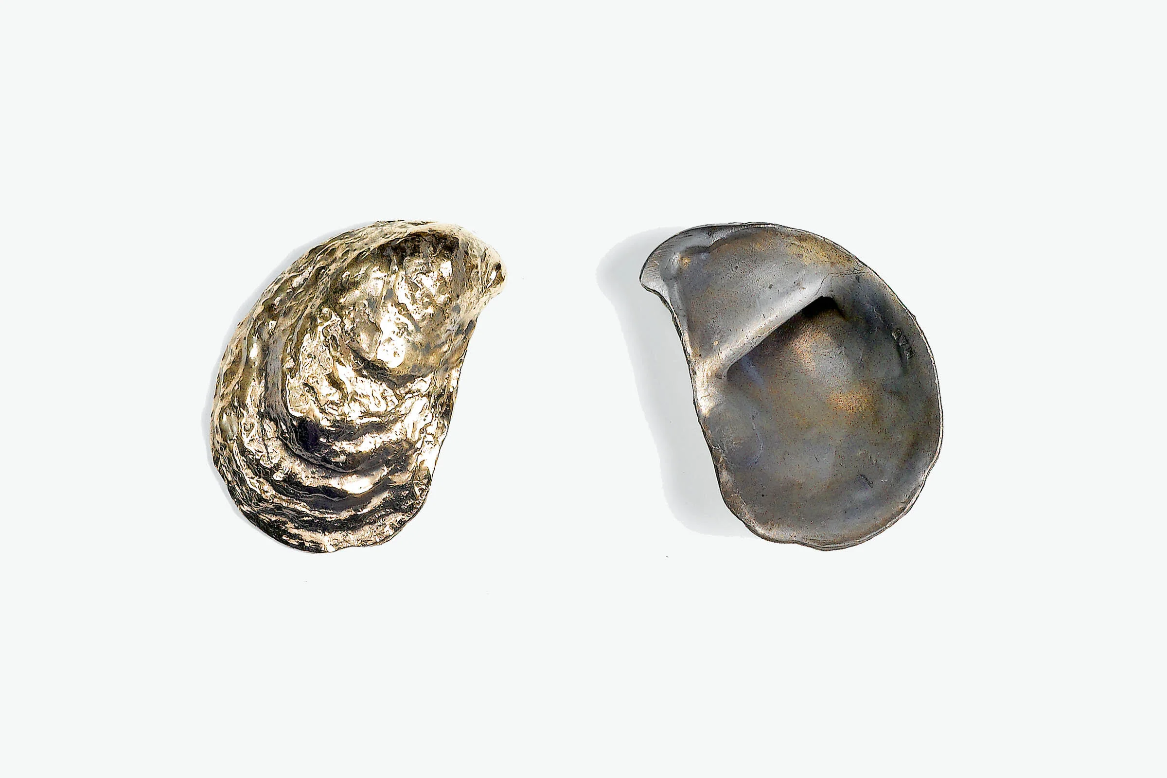 Bronze Shell Bottle Opener Bronze Shell Bottle Opener