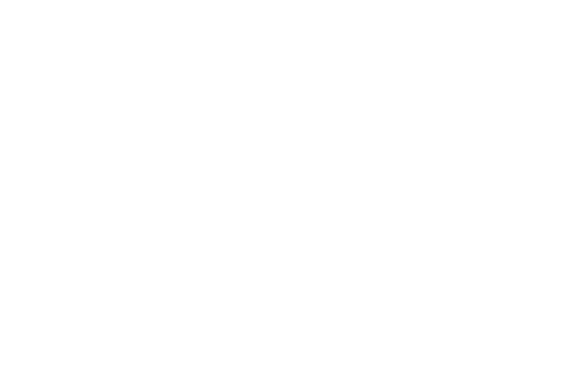 Shannon & Clinton's Wedding