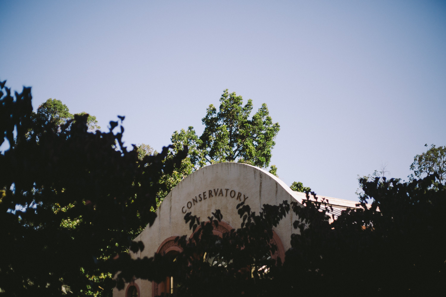 Fitzroy Wedding-Dean Raphael-52.jpg