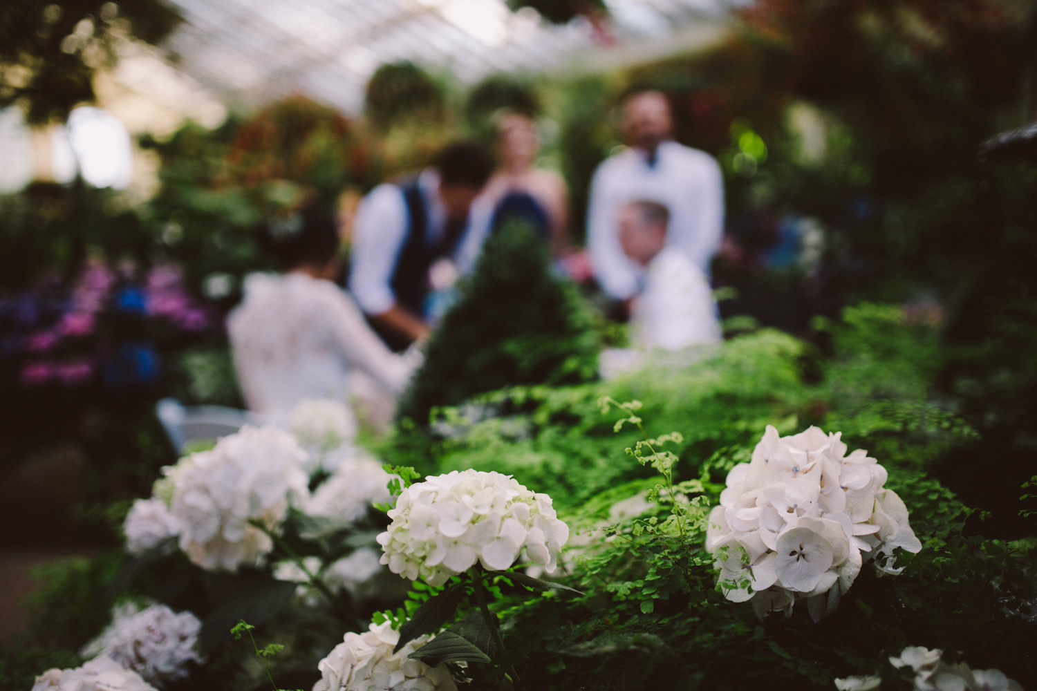 Fitzroy Wedding-Dean Raphael-85.jpg