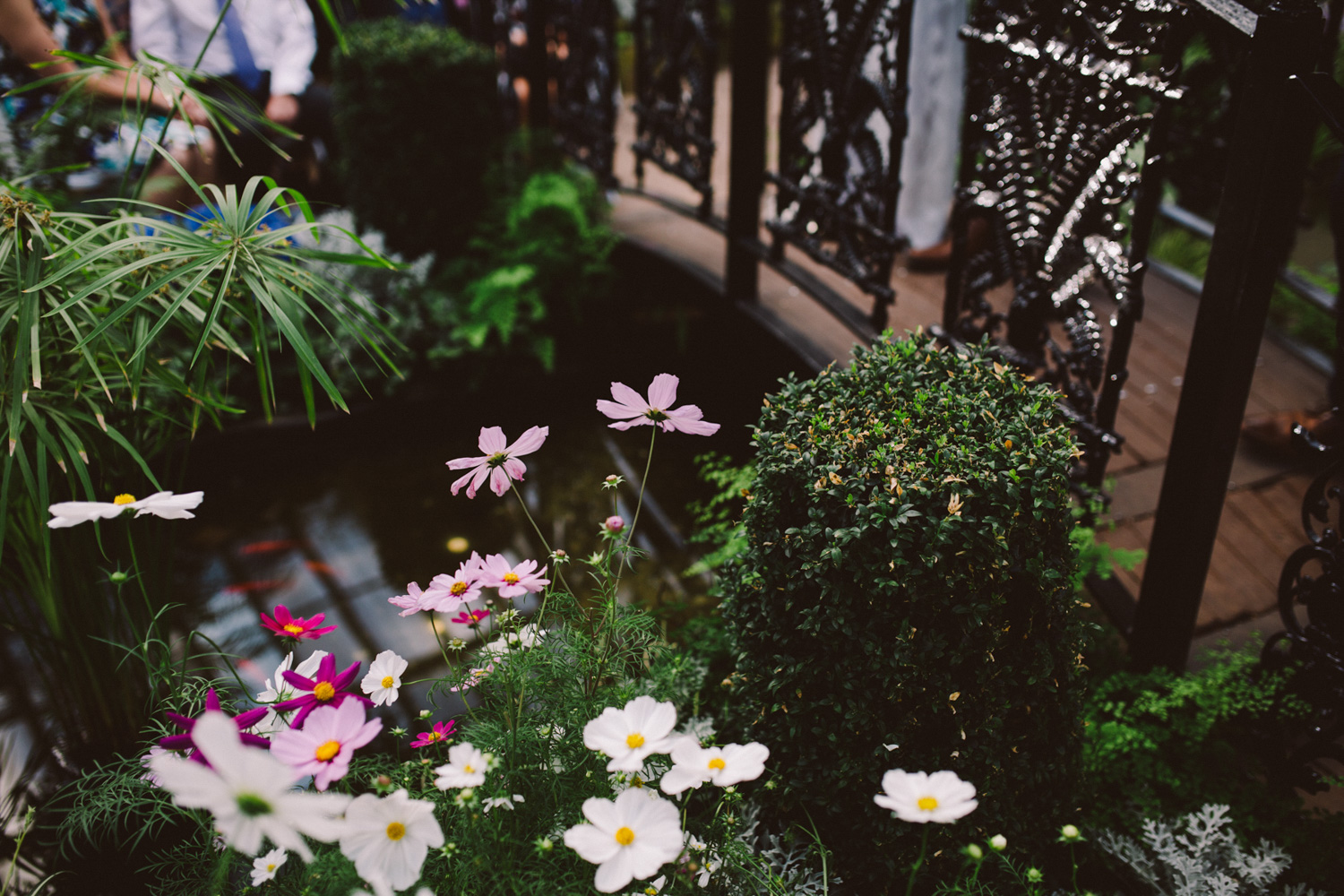 菲茨罗伊(Fitzroy)Wedding-Dean Raphael-100.jpg