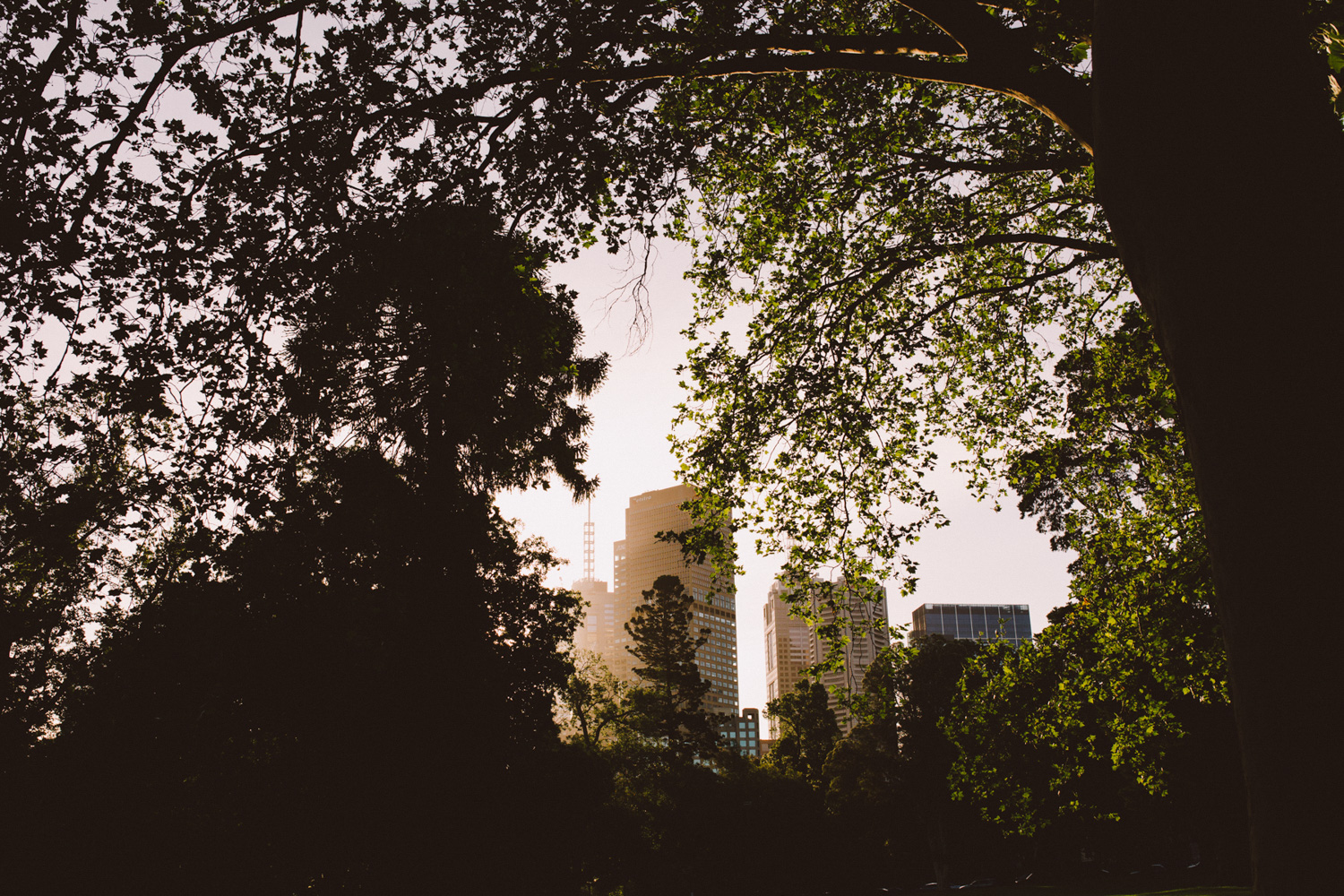 Fitzroy Wedding-Dean Raphael-138.jpg