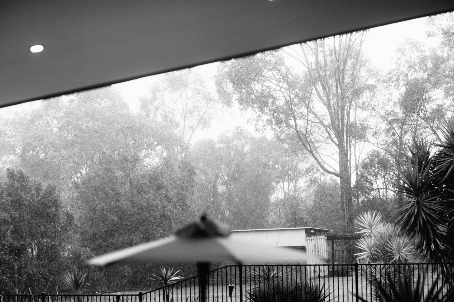 灰Alex-Mount Pleasant Wedding-Dean Raphael-17.jpg