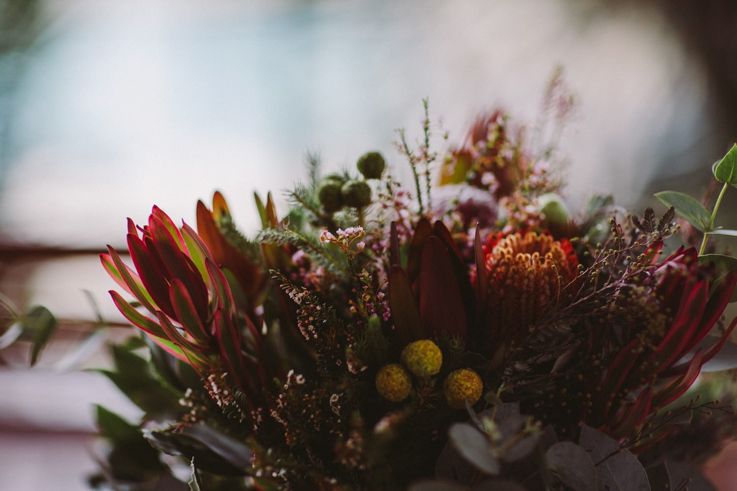 灰Alex-Mount Pleasant Wedding-Dean Raphael-27.jpg