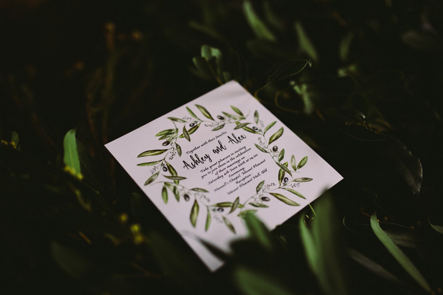 灰Alex-Mount Pleasant Wedding-Dean Raphael-26.jpg