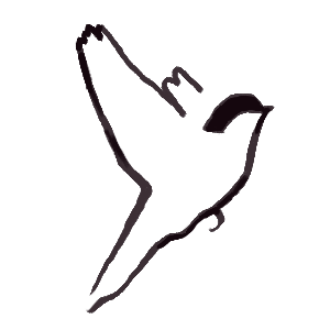 simple sparrow art