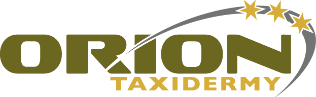 Orion Taxidermy