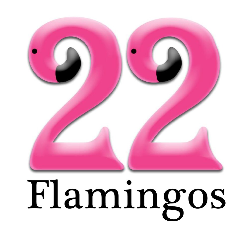 22 Flamingos