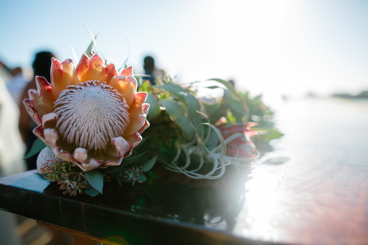 梅尔+ Hamish_Peggy Saas-62.jpg