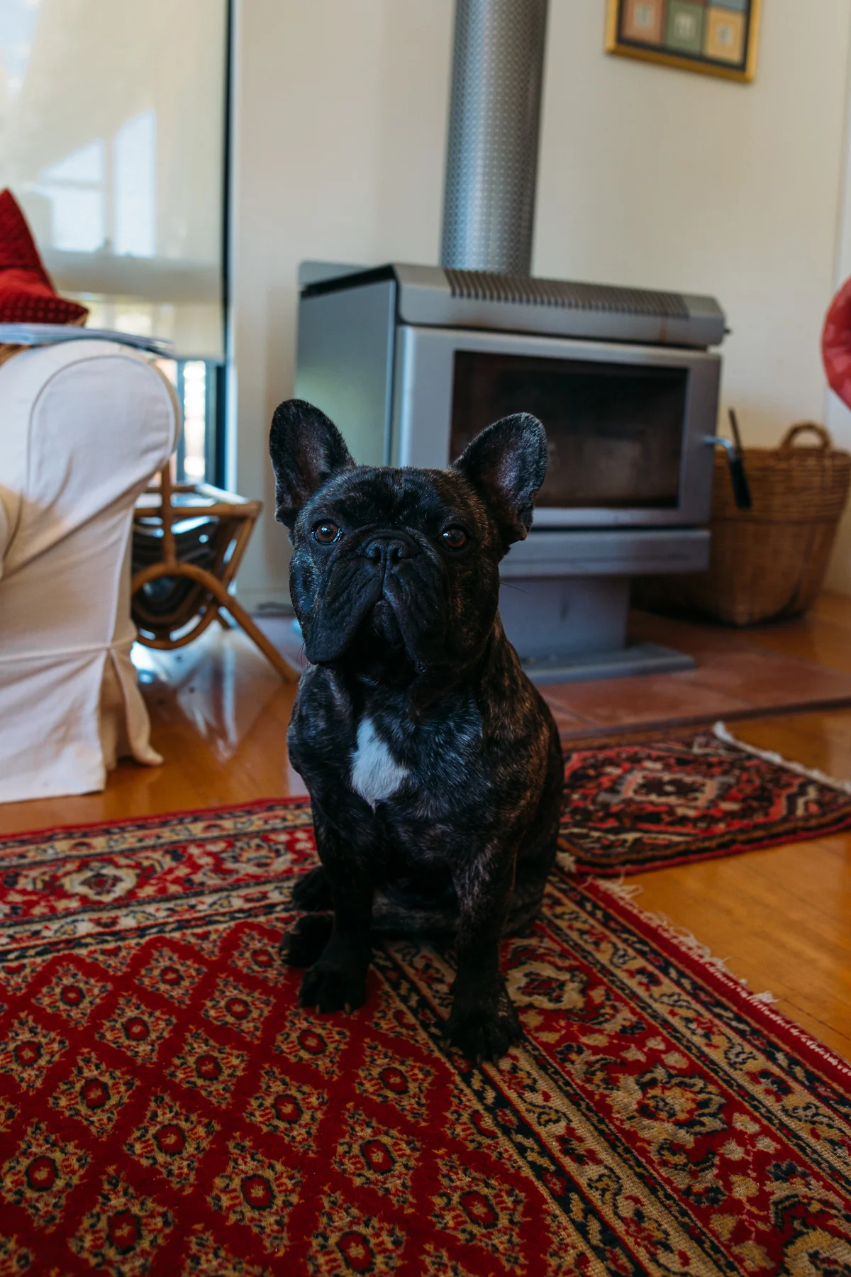 万象城 + David-Margaret River Wedding-Peggy Saas-9.jpg