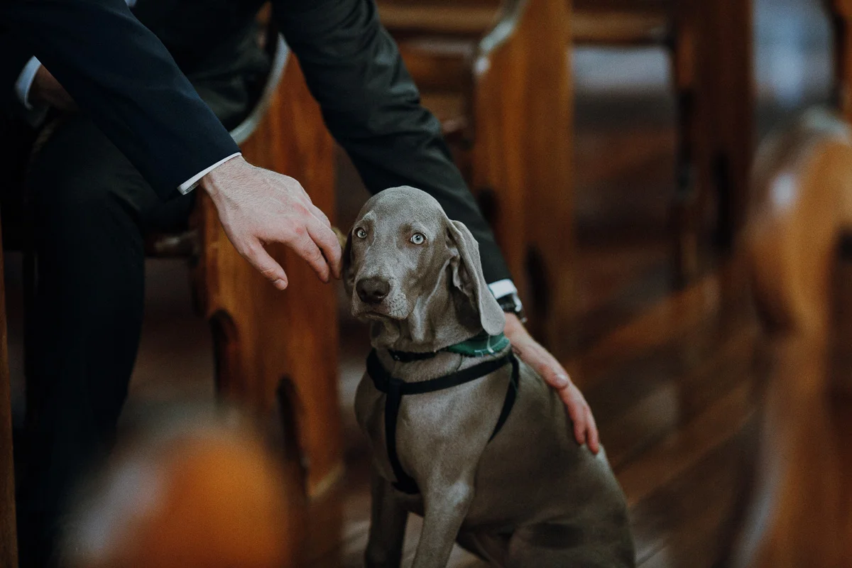佩吉·萨斯(Perggy Saas)-珀斯(Perth)万象城摄影师-圣保罗·比肯斯菲尔德(St Pauls Beaconsfield)Fremantle Wedding-5.jpg