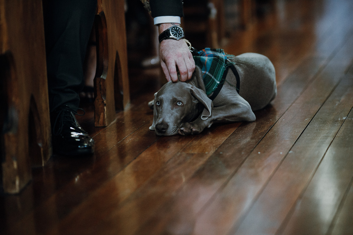 佩吉·萨斯(Peggy Saas) -Fremantle万象城摄影师-Little Creatures Wedding-5.jpg